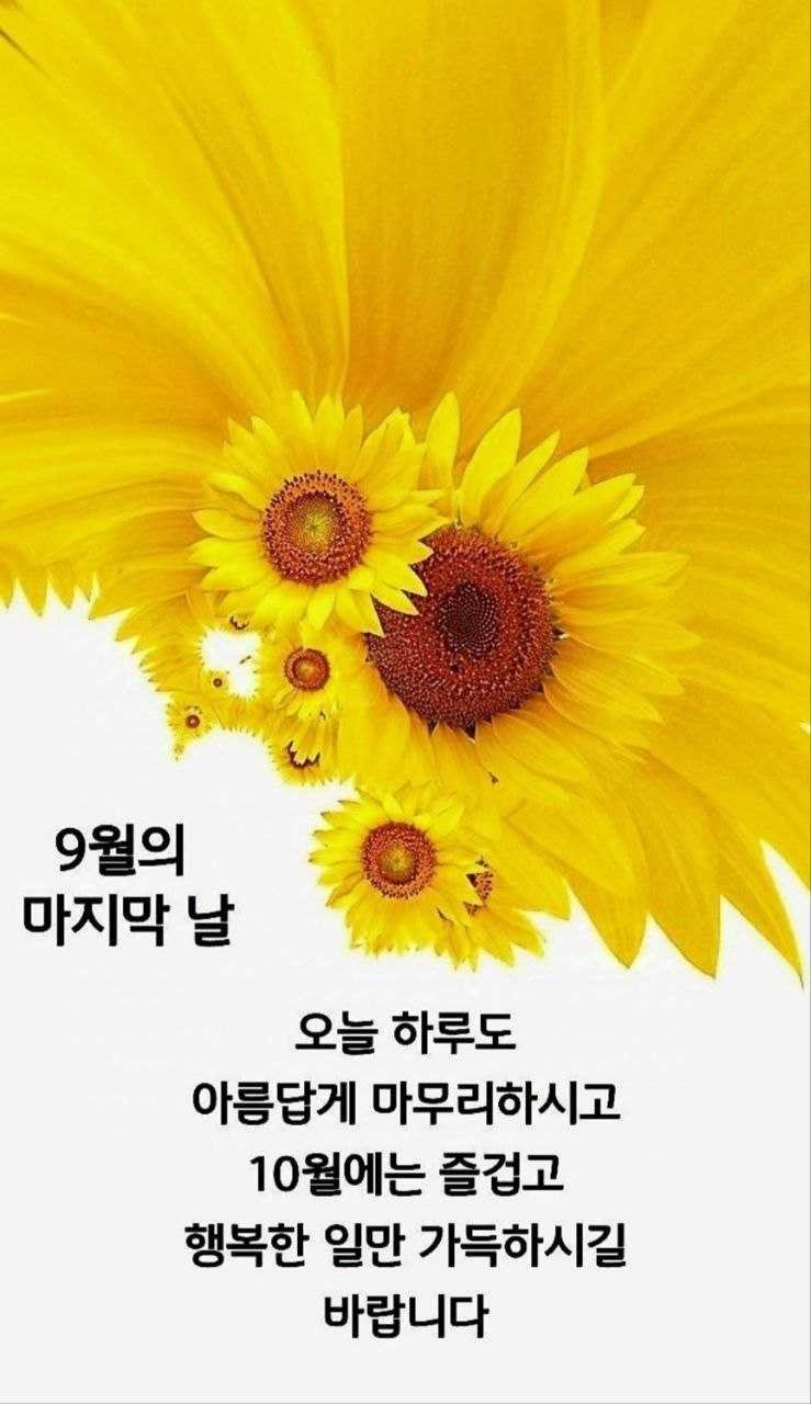 문순 정