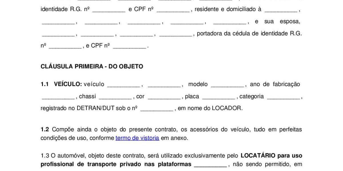 Viva São Paulo: Aventura em Van pelo Corredor Cultural da Cidade